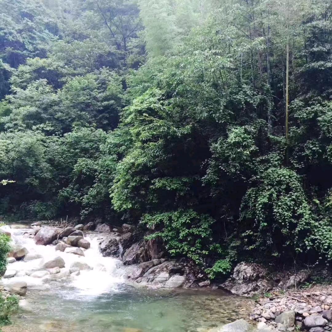 好好学习，天天向上