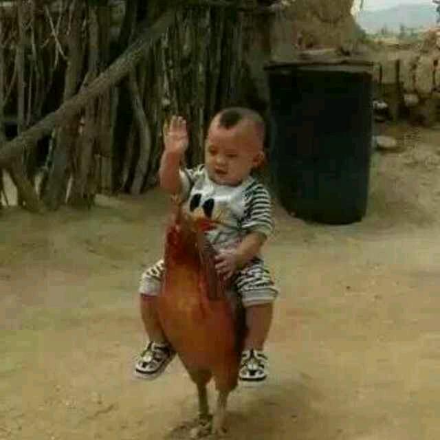 ᝰꫛꫀꪝ•⚘乞丐