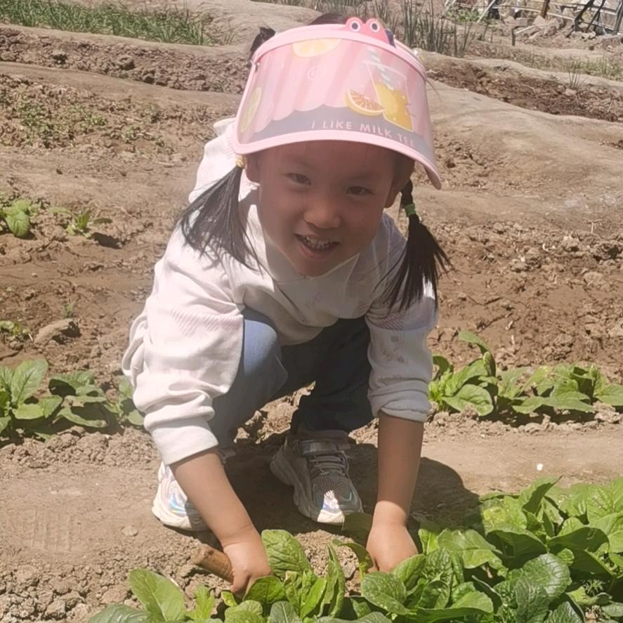 五家渠宏鑫柜门