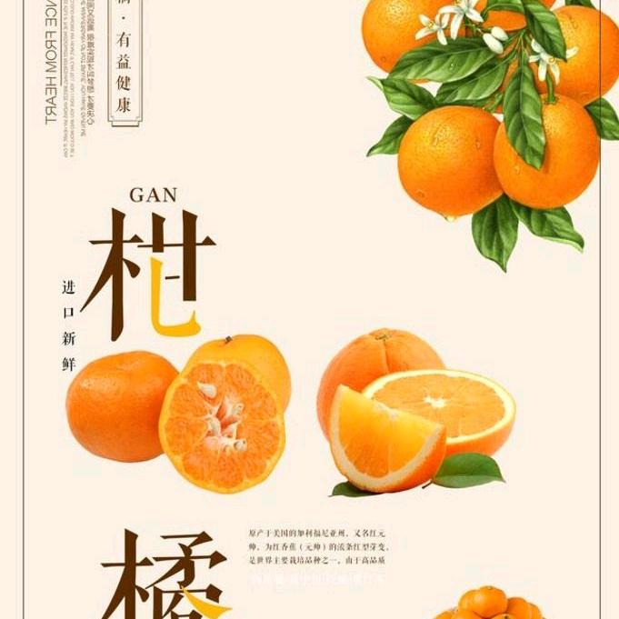 柑橘实战者韩老师