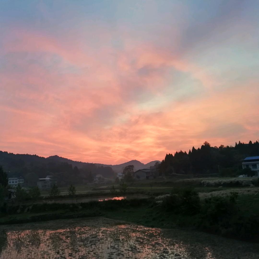 白云飘飘