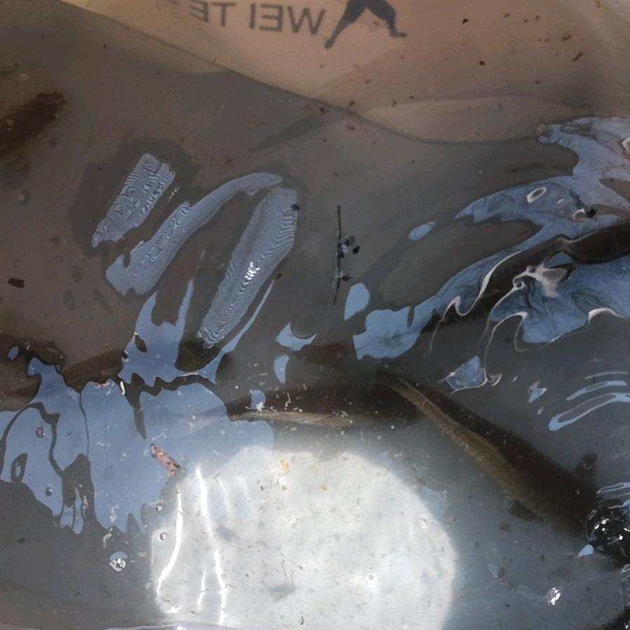 姜子牙      野钓