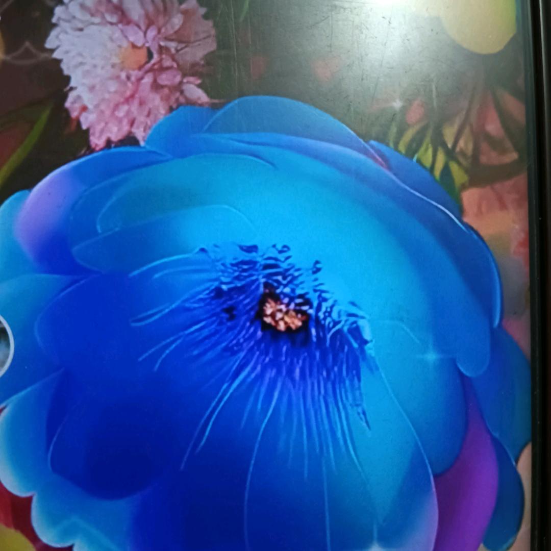 蓝色玫瑰