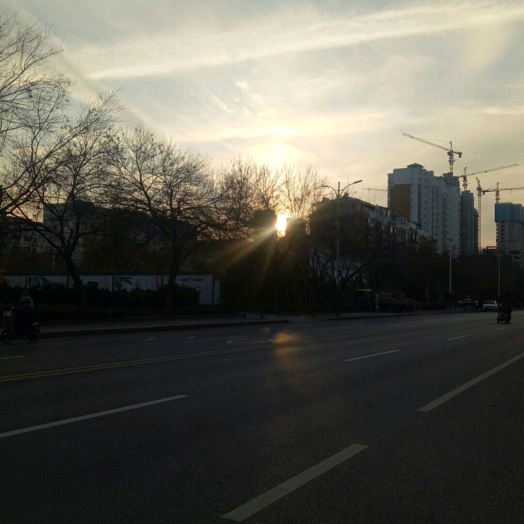 视若无物