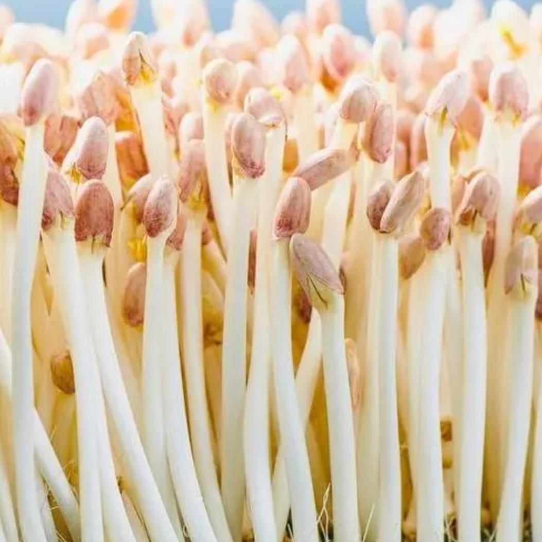 农科好物严选