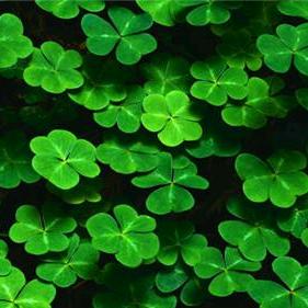 亚布力新家兴酒楼