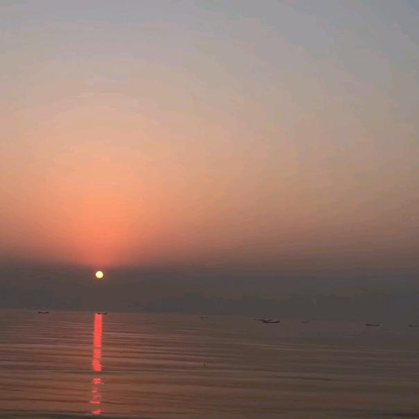 亲爱的姑娘 别来无恙