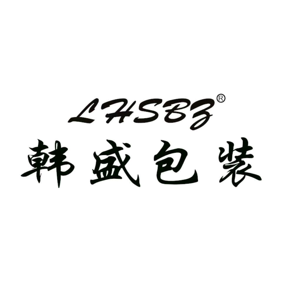 韩盛益智玩具