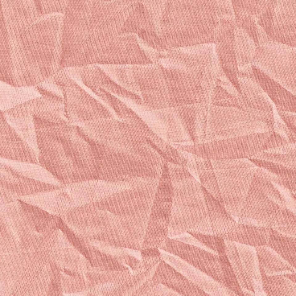 爱吃花椒的喵酱