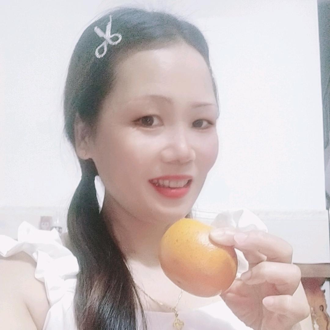 蝶舞人间