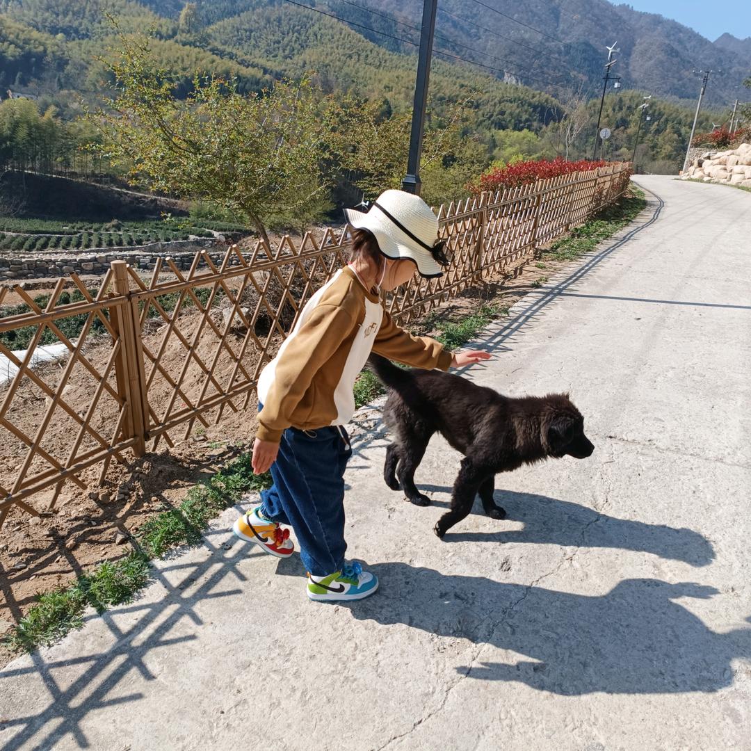 小小的太阳🌞