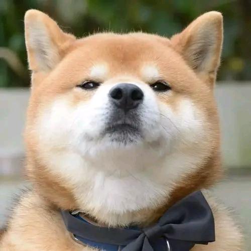 徒然
