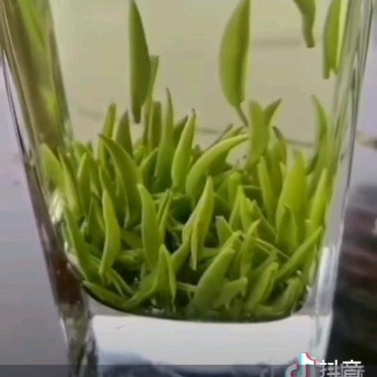 浪漫人生