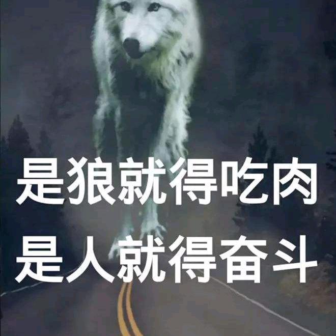 饥饿的狼