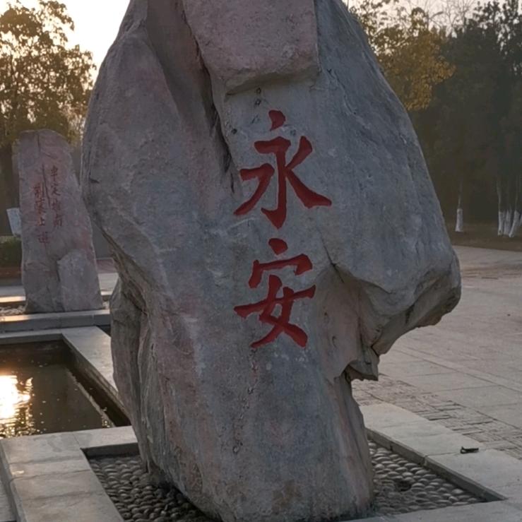 伟-CSV南阳中林Kennel