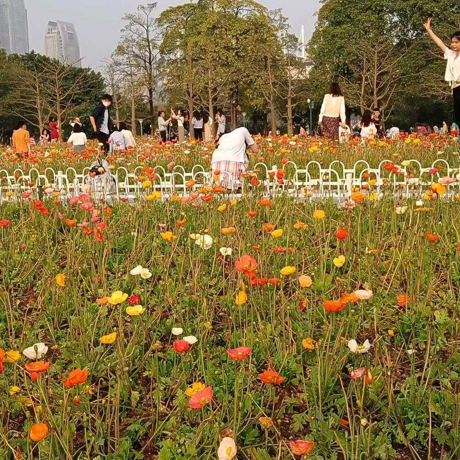阿芳