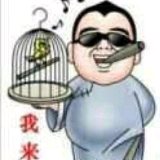 宝虎哥