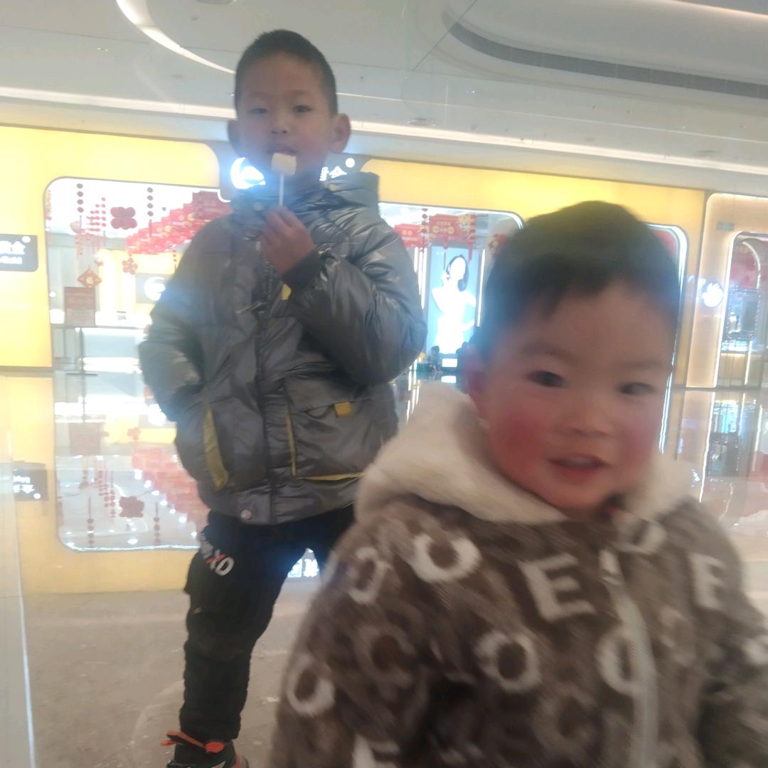 鹏哥
