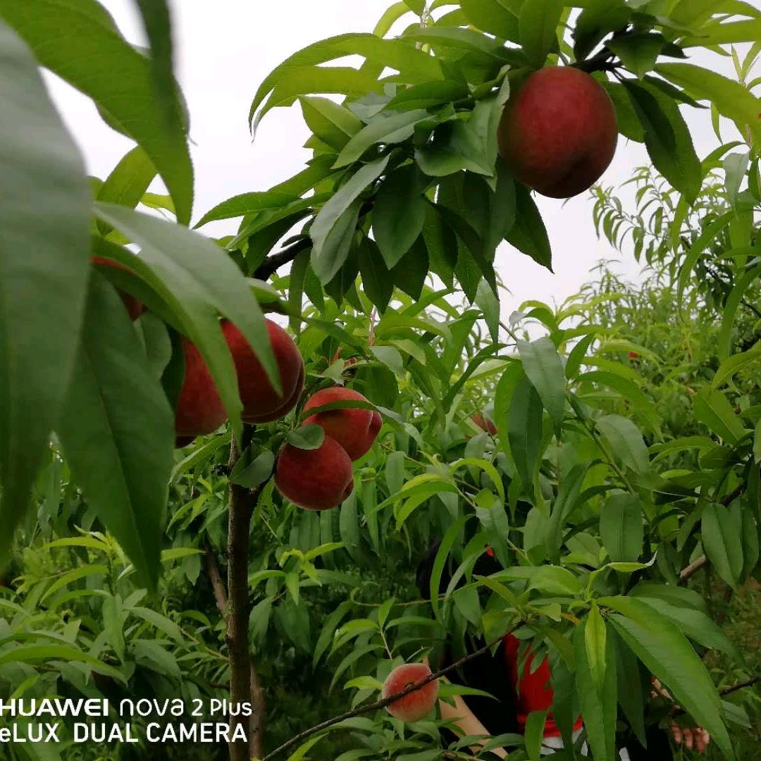 এ᭄ꦿ꯭霞💰℘᭄ᩚ꯭🍀