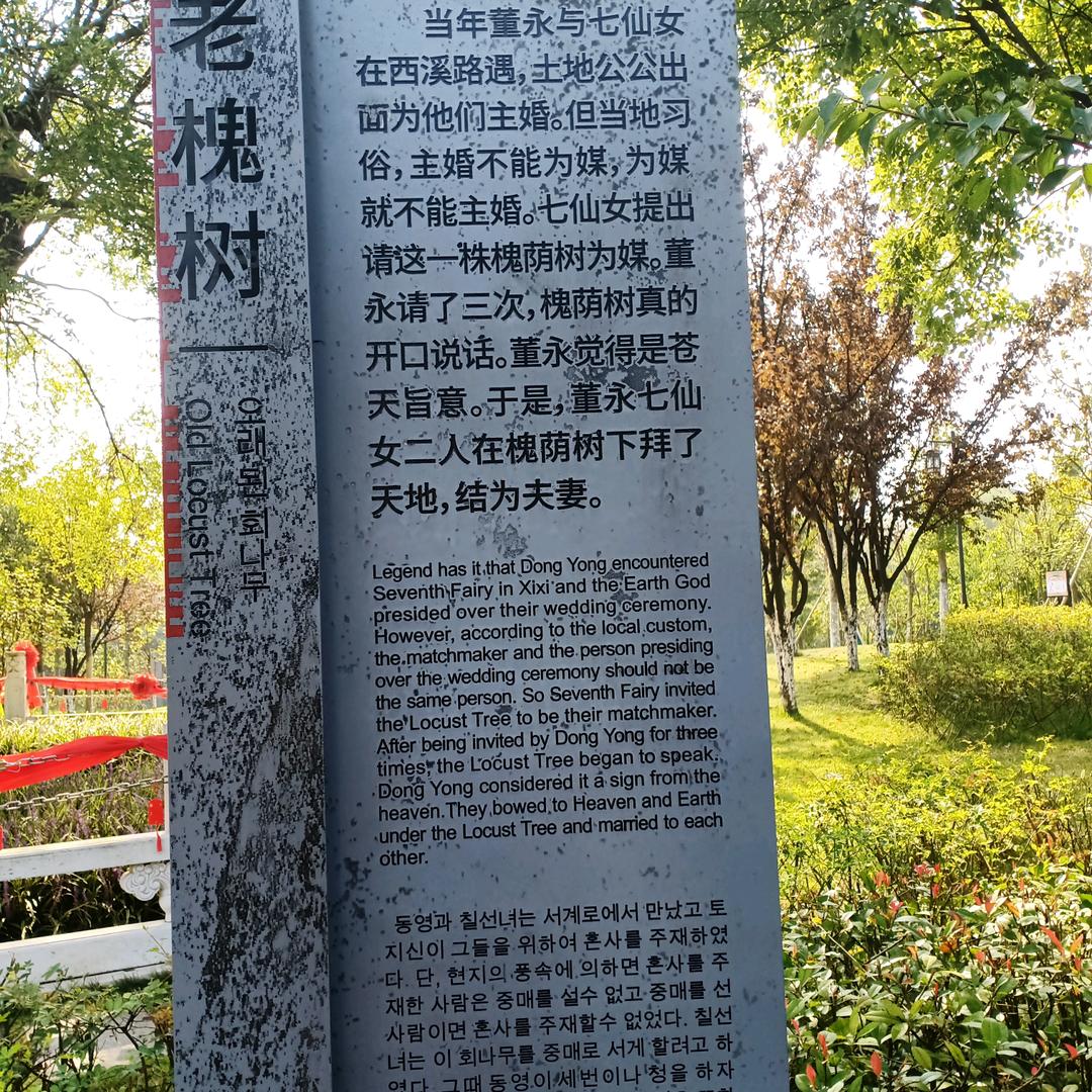 情缘