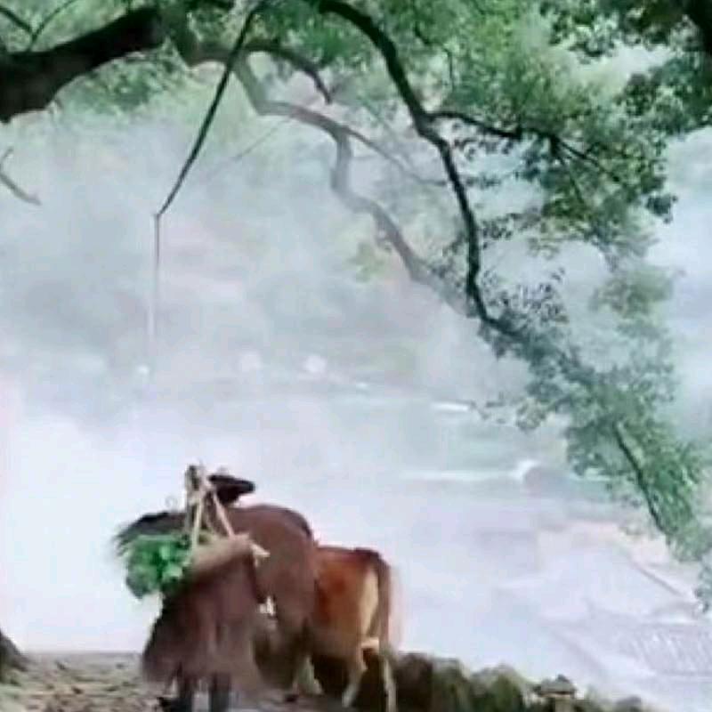 襄阳鑫源二手车