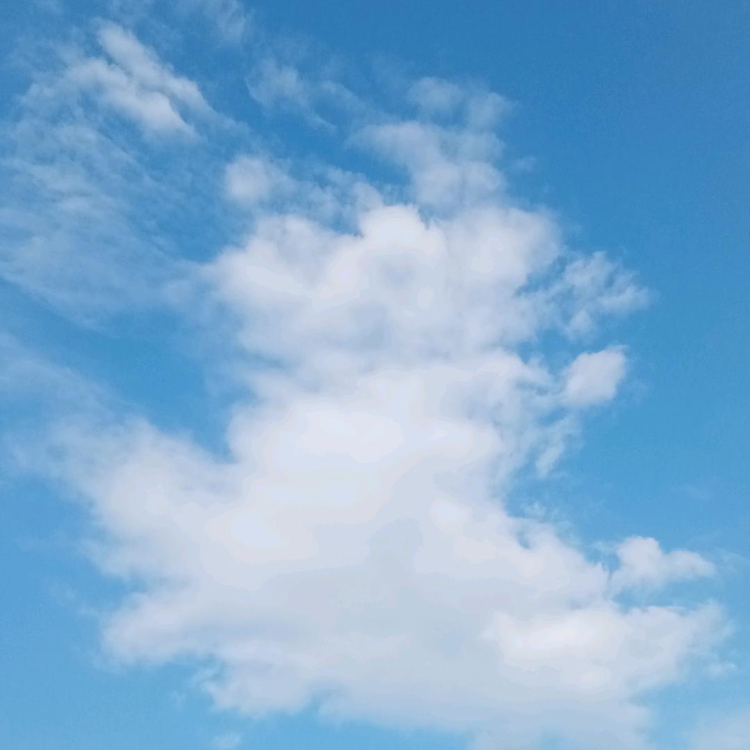 梅礼安