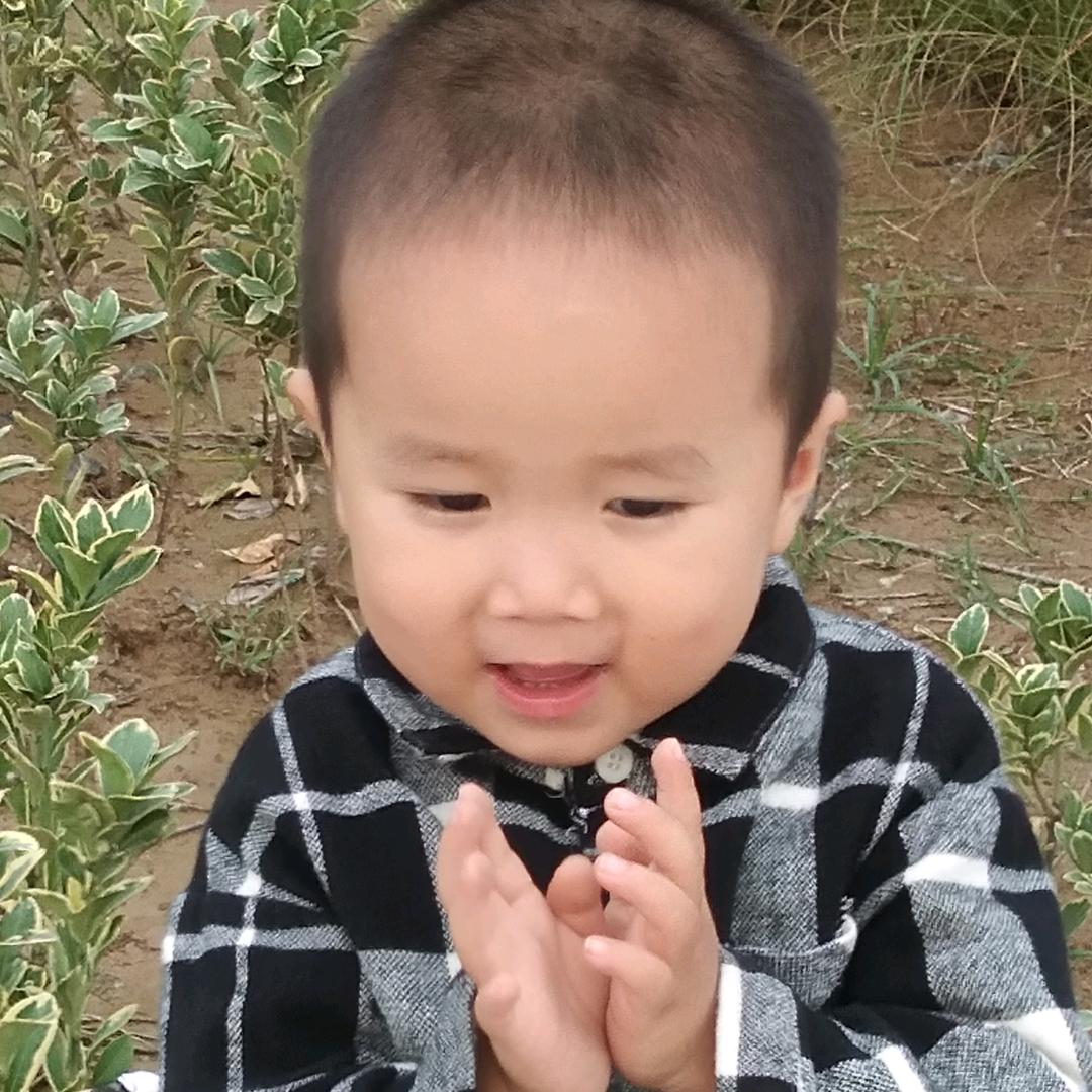 梅花