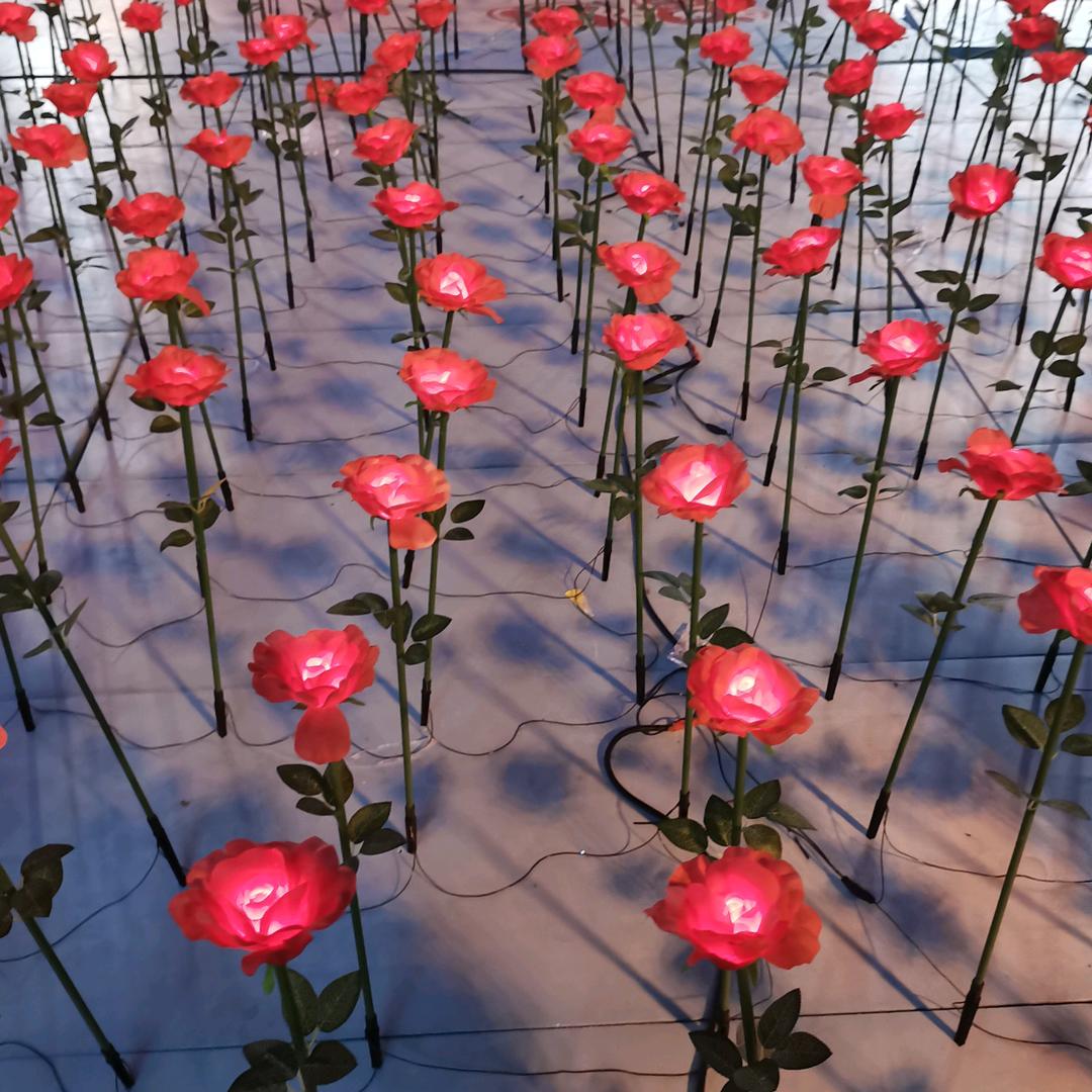 花园博