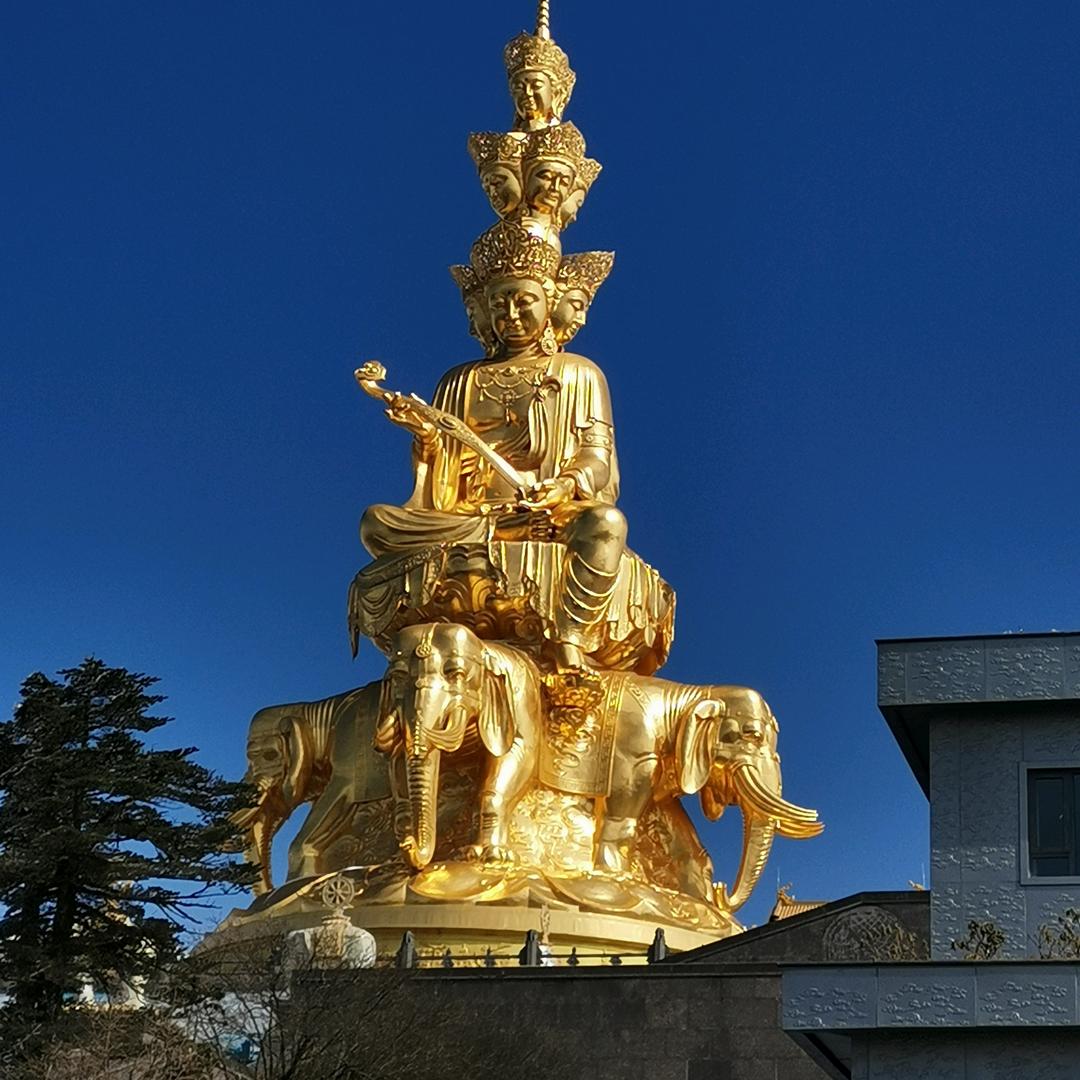 光头