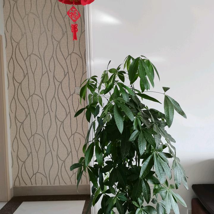 慢慢悠悠