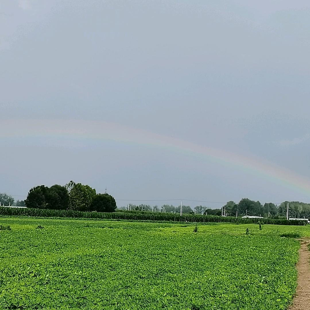 珍爱余生（三哥）