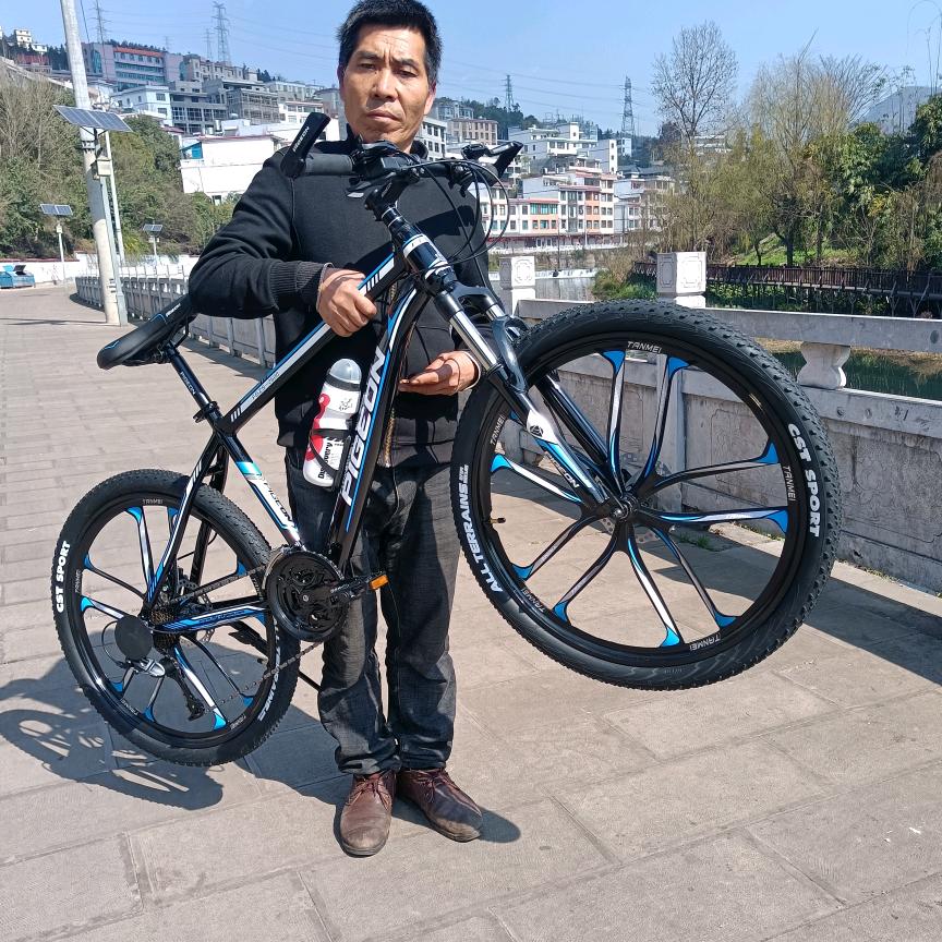 雷信童车：玩具，童车，自行车