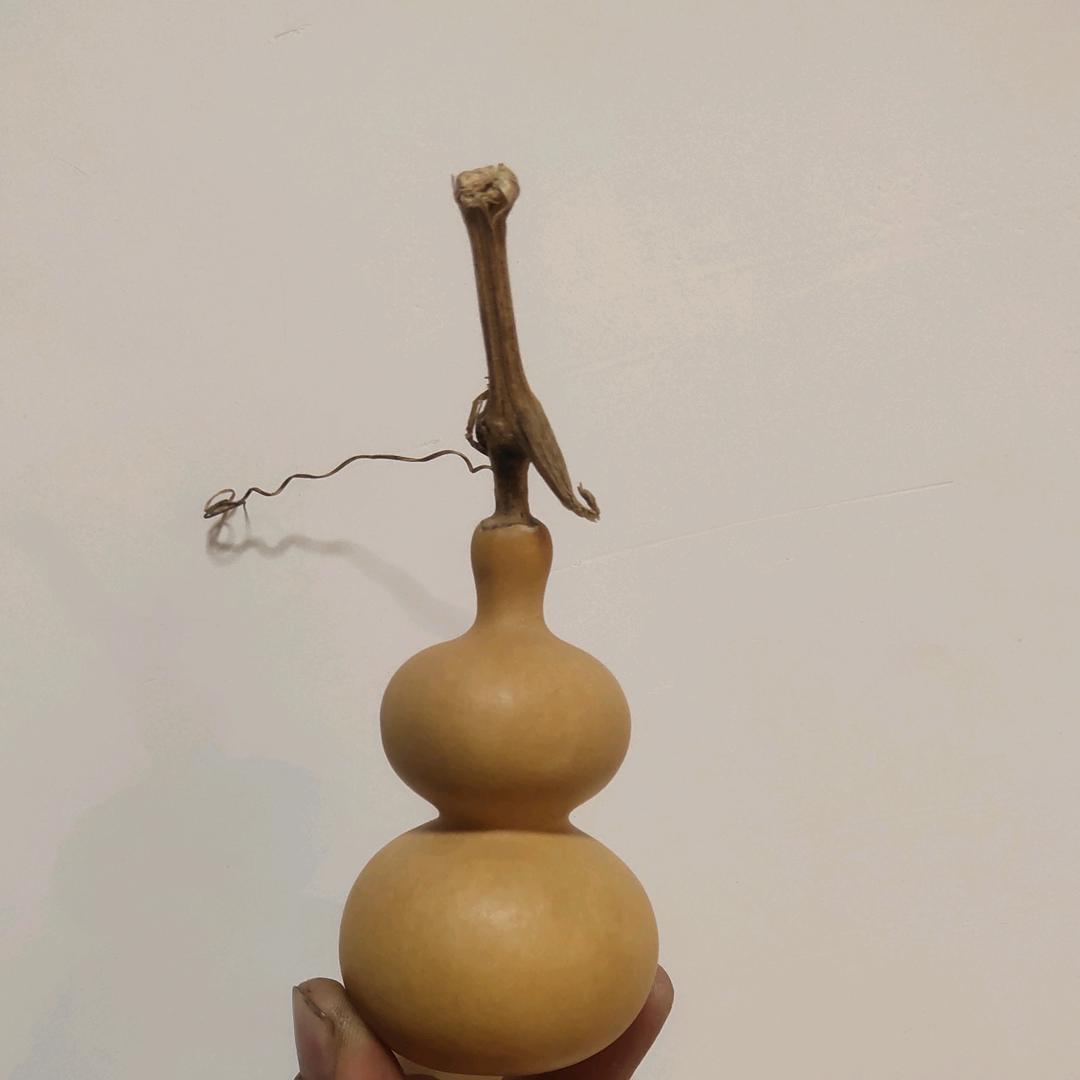 聊城市东昌府区堂邑镇花样葫芦加工厂