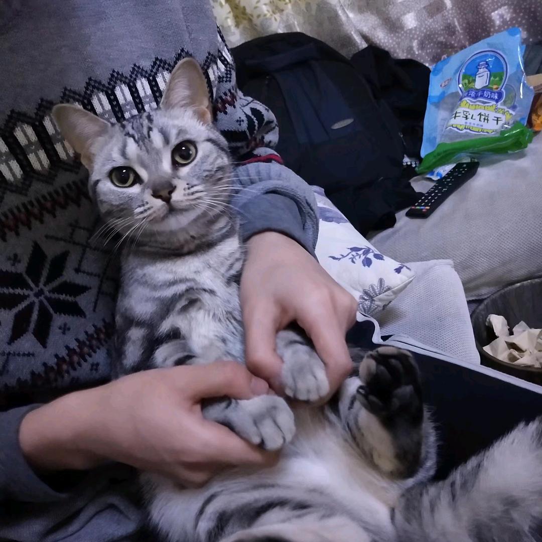 学长来救你了