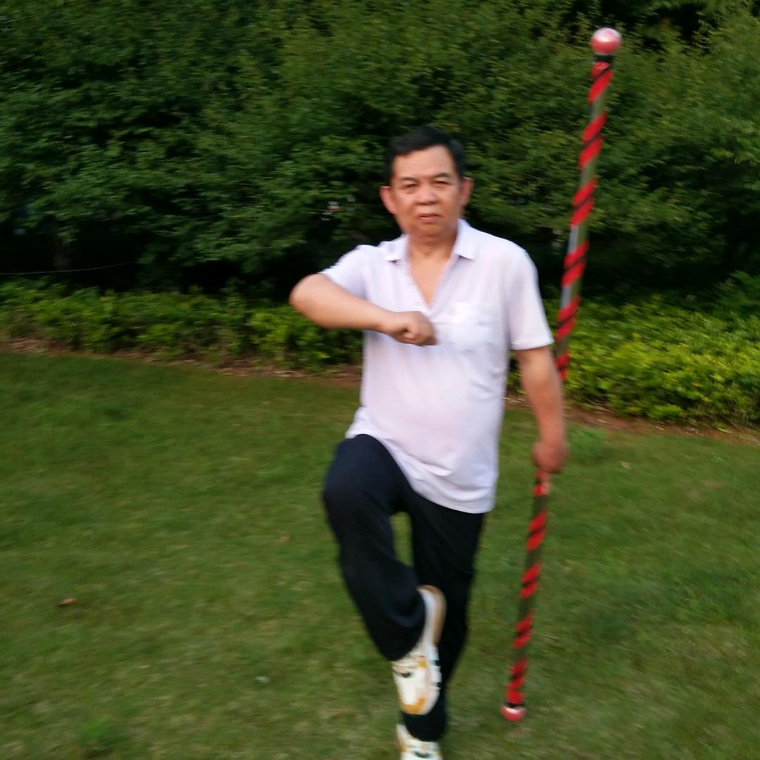 混元太上無极棍