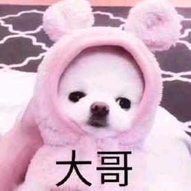 圈内小弟@抖音