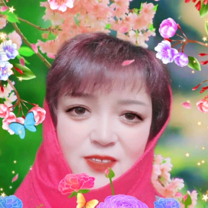 用户8642885101045