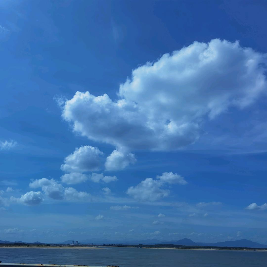 卡其鱼