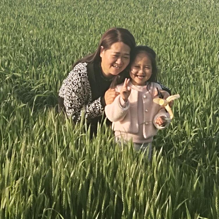 于姐榴莲芝士饼