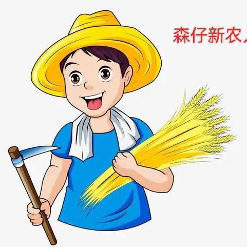 农人森仔