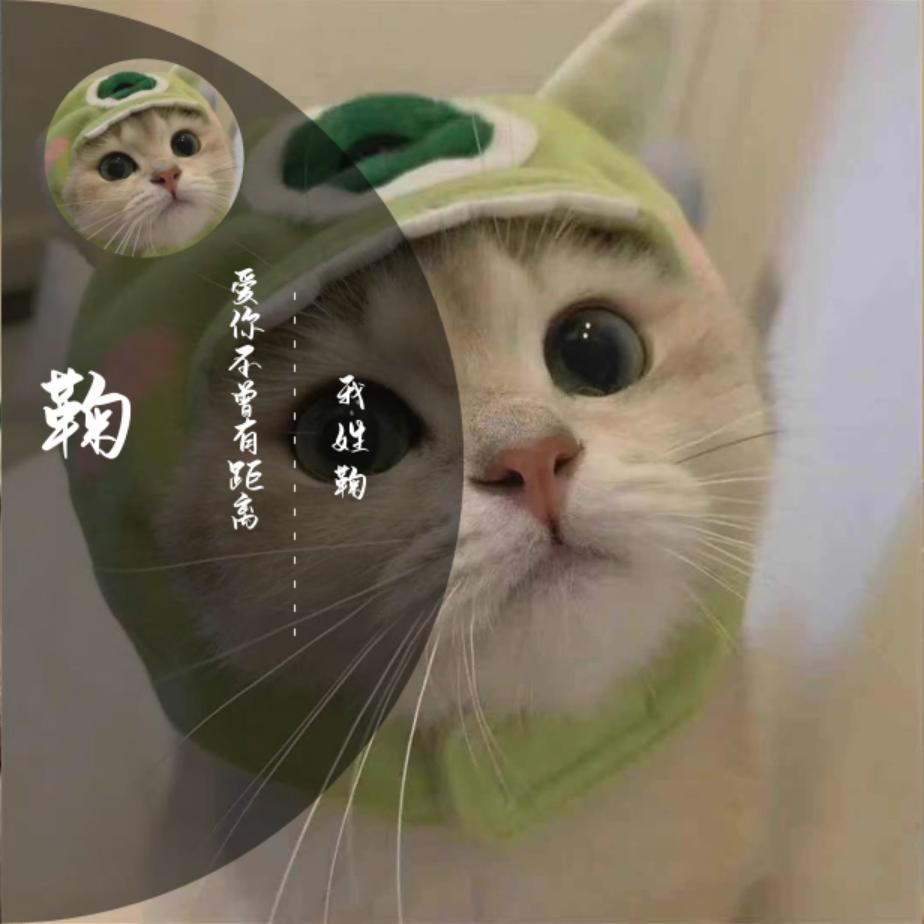 烟酒疗心伤头像