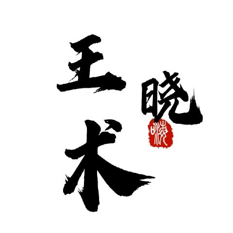 王晓术