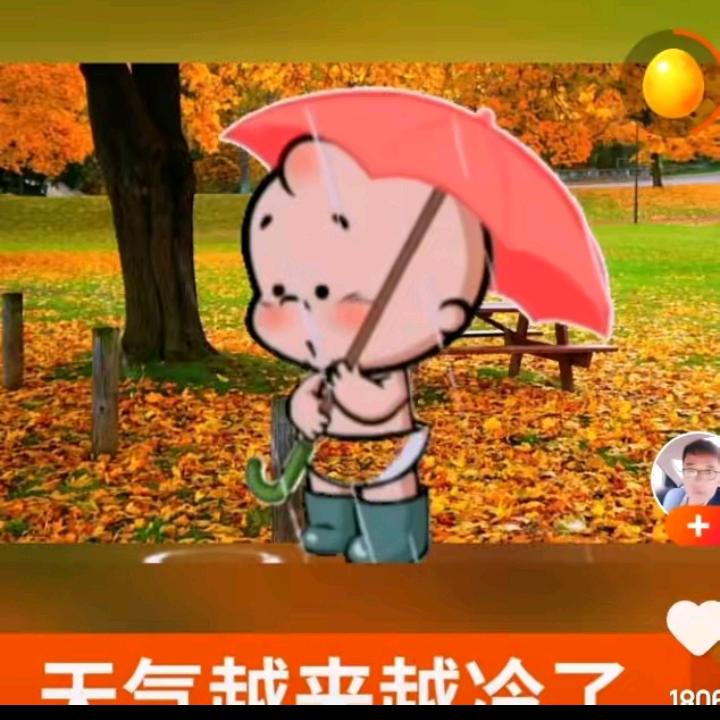 大智若愚