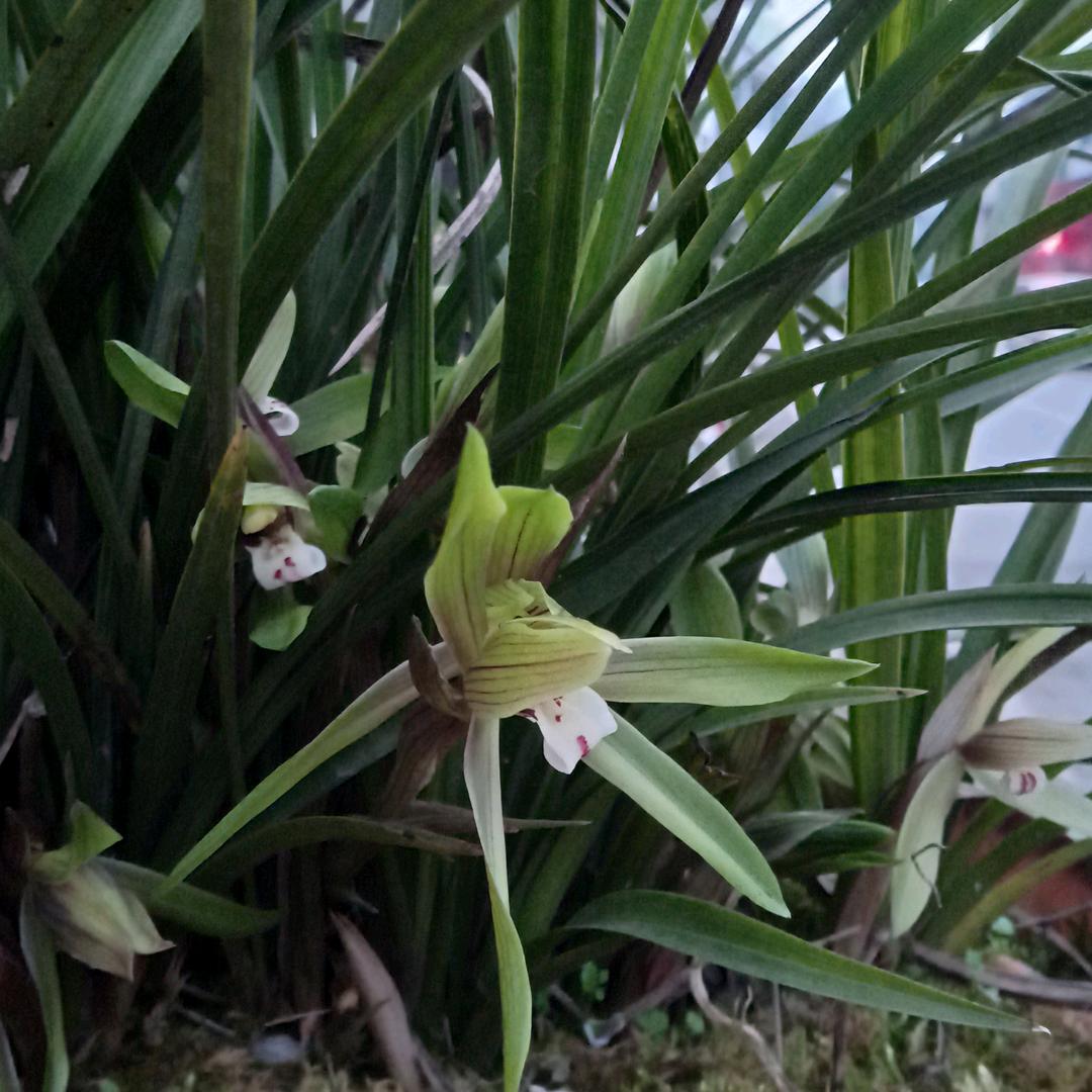 开开心心❤️