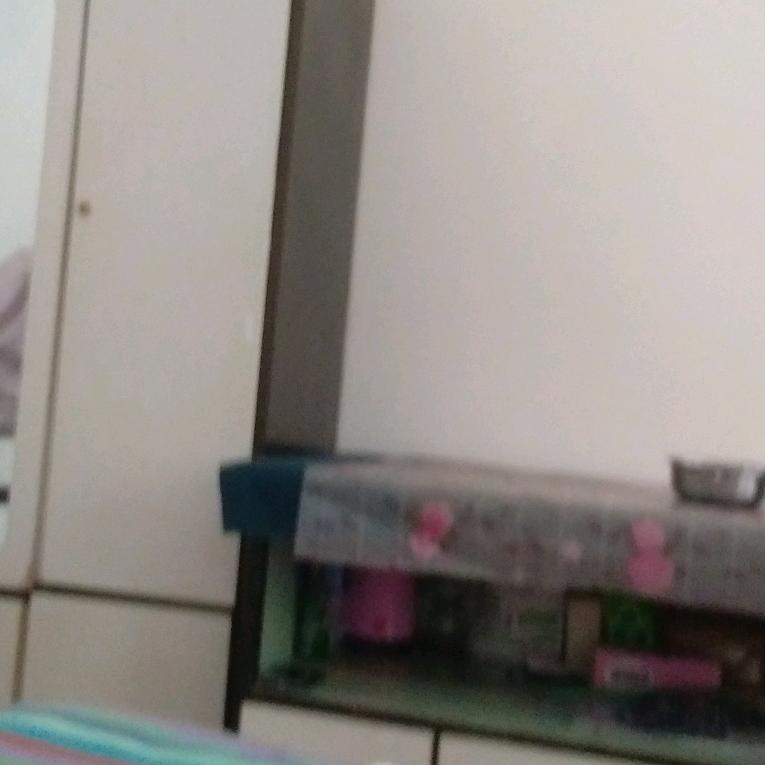 走四方的人
