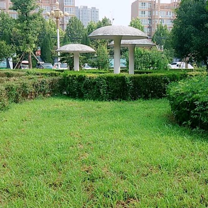 用户6219666856216