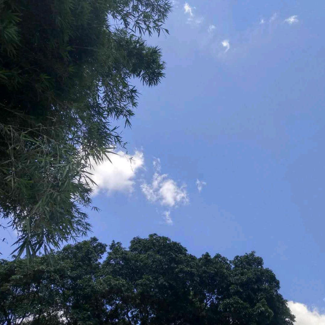 前路畅通