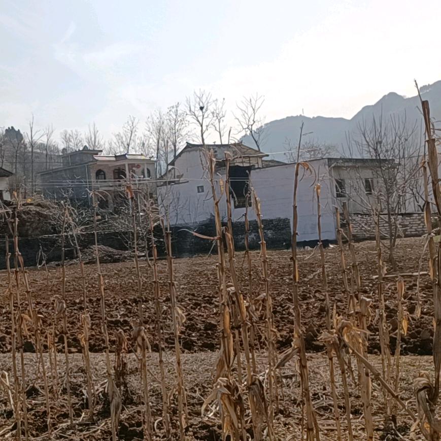 懂了再问😊😊水沝淼㵘