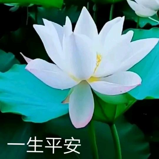 万事如意
