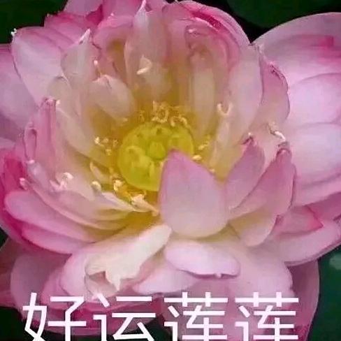 李姐